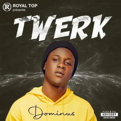 Pochette de Twerk