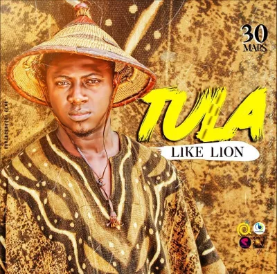 Like-Lion