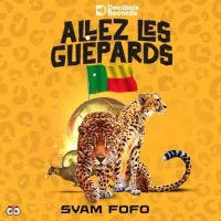 Pochette de Allez Les Guepards