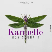 Pochette de Mon Souhait