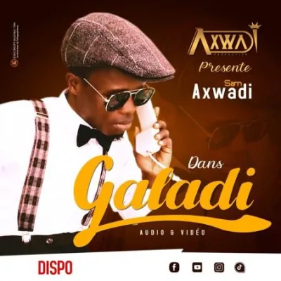 Pochette de Galadi