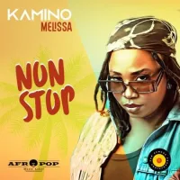 Pochette de Non Stop