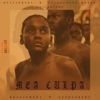 Pochette de Mea Culpa