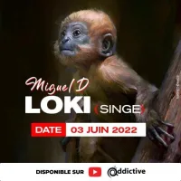 Pochette de Loki