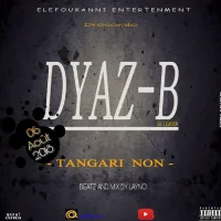 Pochette de Tangari Non