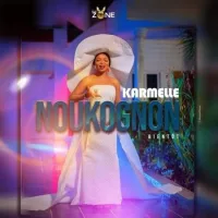 Pochette de Noukognon