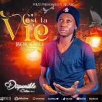 Pochette de C est La Vie